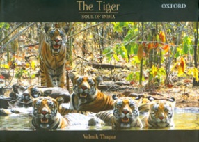 The Tiger: Soul of India