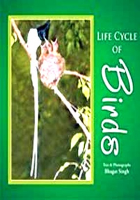 Life Cycle of Birds: A Pictorial Presentation