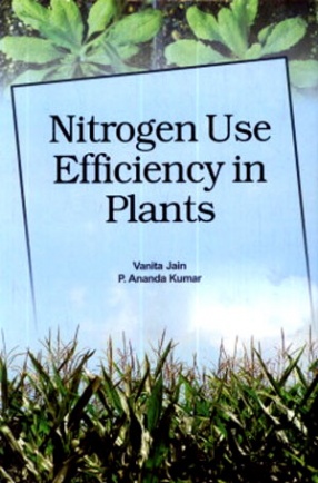 Nitrogen Use Efficiency in Plants