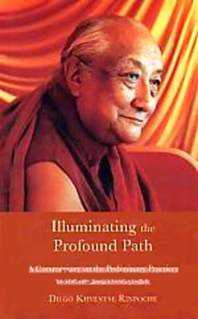 Illuminating the Profound Path: A Commentary on the Preliminary Practices of the Rangjung Pema Nyingtik