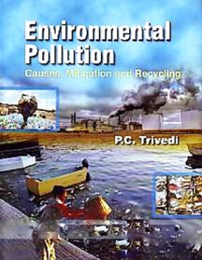 Environmental Pollution: Causes, Mitigation and Recycling