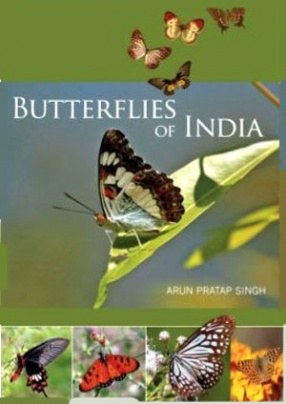 Butterflies of India