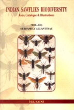 Indian Sawflies Biodiversity: Subfamily Allantinae: Keys, Catalogue and Illustrations, Volume 3