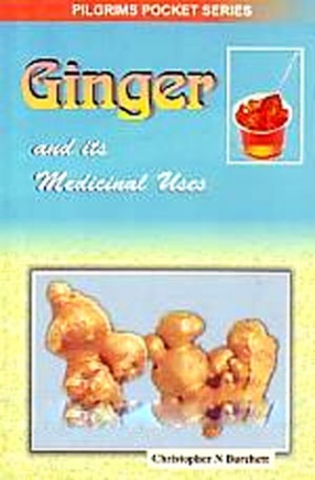 Ginger and Its Medicinal Uses