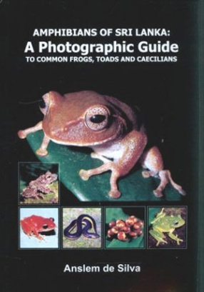 Amphibians of Sri Lanka: A Photographic Guide to Common Frogs, Toads and Caecilians