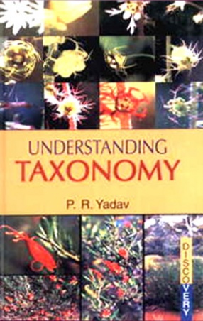 Understanding Taxonomy
