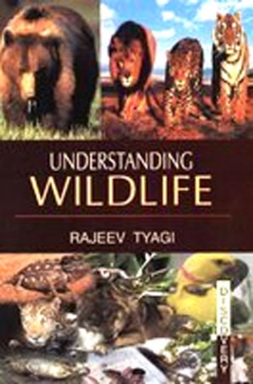 Understanding Wildlife