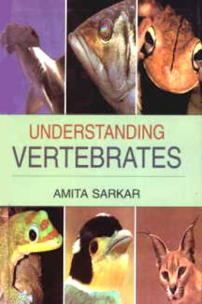 Understanding Vertebrates