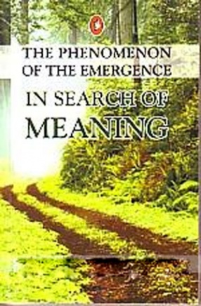 In Search of Meaning: The Phenomenon of the Emergence