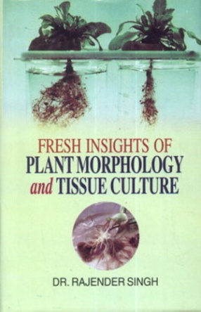 Fresh Insights of Plant Morphology and Tissue Culture
