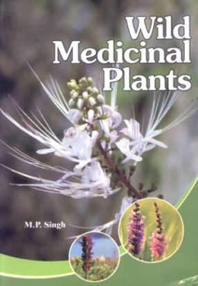 Wild Medicinal Plants