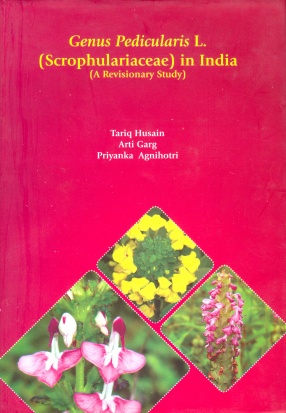 Genus Pedicularis L. (Scrophulariaceae) in India: A Revisionary Study