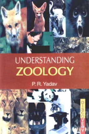 Understanding Zoology