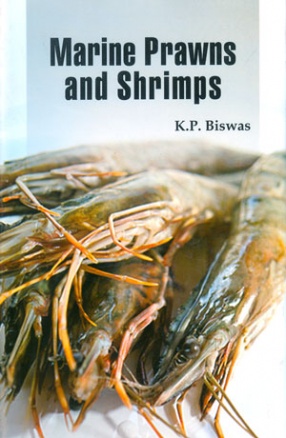 Marine Prawns and Shrimps