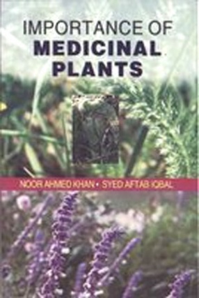 Importance of Medicinal Plants