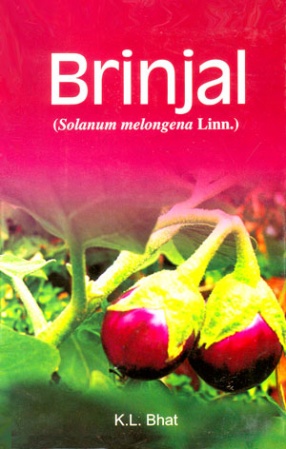 Brinjal: Solanum melongena Linn