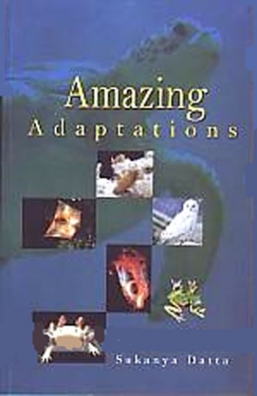 Amazing Adaptations