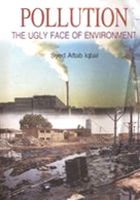 Pollution: The Ugly Face Of Environment