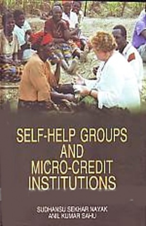 Self-Help Groups and Micro-Credit Institutions