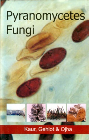 Pyranomycetes Fungi