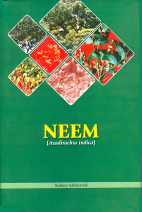 Neem: Azadirachta Indica