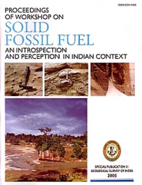 Proceedings of Workshop on Solid Fossil Fuel: An Introspection and Perception in Indian Context