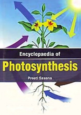 Encyclopaedia of Photosynthesis (In 2 Volumes)