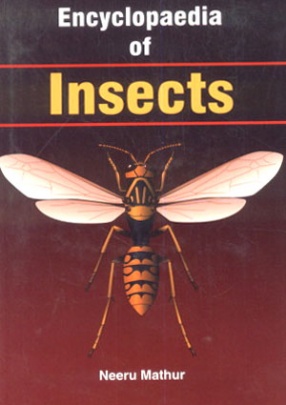 Encyclopaedia of Insects (In 2 Volumes)