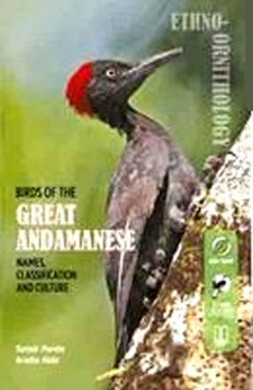 Birds Of The Great Andamanese