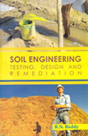 Soil Engineering: Testing Design and Remediation