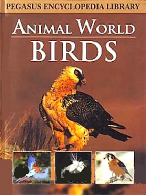 Animal World Birds