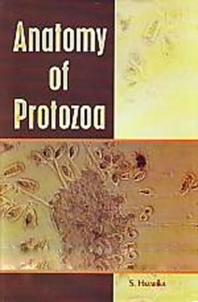 Anatomy of Protozoa