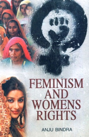 Feminism and Women's Rights 