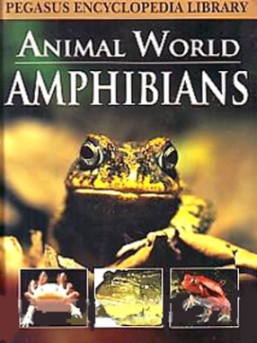 Animal World Amphibians