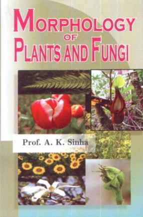 Morphology of Plants and Fungi