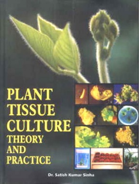 Plant Tissue Culture: Theory and Practice 
