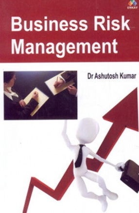 Business Risk Management 