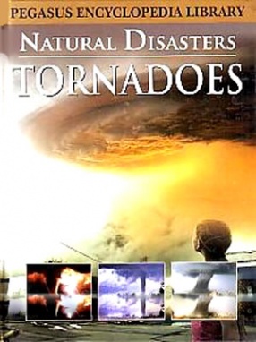 Natural Disaster Tornadoes 