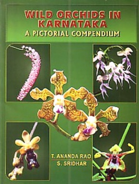 Wild Orchids in Karnataka: A Pictorial Compendium