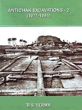 Antichak Excavations-2: 1971-1981