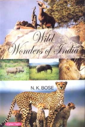 Wild Wonders of India 