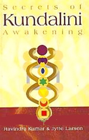 Secrets of Kundalini Awakening: Life After Death and Quantum Soul 