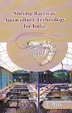 Shrimp Raceway Aquaculture Technology for India 