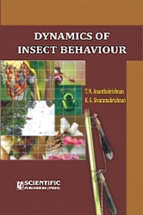 Dynamics of Insect Behaviour