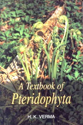A Textbook of Pteridophyta 