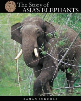 The Story of Asia's Elephants