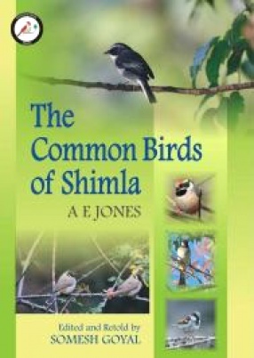 The Common Birds of Simla 
