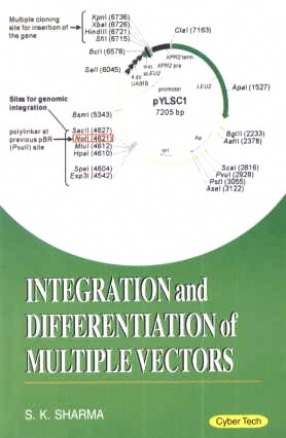Integration and Differentiation of Multiple Vectors