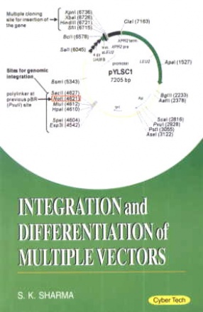 Integration and Differentiation of Multiple Vectors