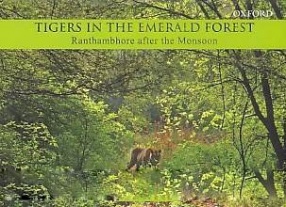 Tigers in the Emerald Forest: Ranthambhore After the Monsoon